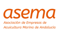 Asema Logo